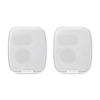 Wall Speaker 2pk